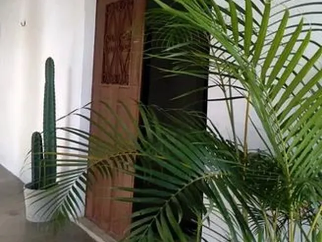 Imagem 2: Quartos em Pousada no Período da Expocrato 2023