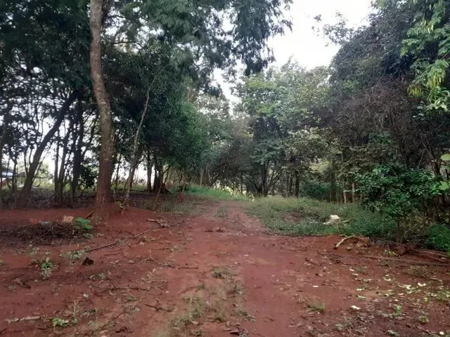Imagem: Venda
