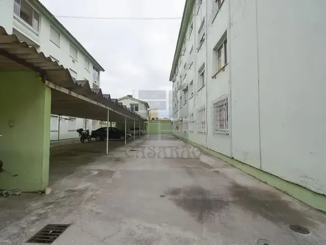 Imagem 7: Apartamento 2 Quartos para Aluguel Pelotas