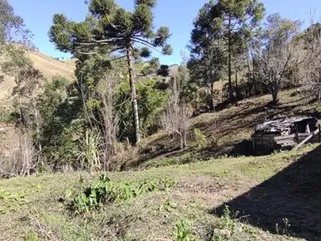 Imagem 6: Chácara de 11.000M² na Região de Marmelópolis- Sul de Minas Gerais