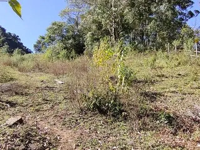 Imagem 16: Chácara de 11.000M² na Região de Marmelópolis- Sul de Minas Gerais