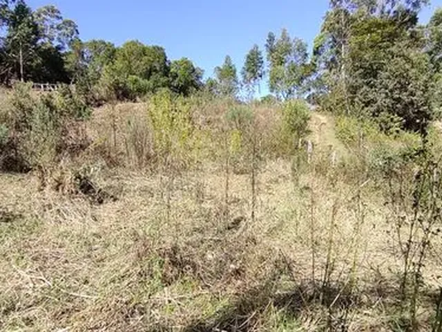 Imagem 7: Chácara de 11.000M² na Região de Marmelópolis- Sul de Minas Gerais