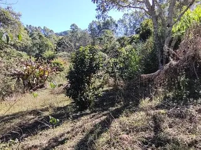 Imagem 2: Chácara de 11.000M² na Região de Marmelópolis- Sul de Minas Gerais