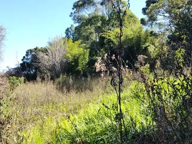 Imagem 9: Chácara de 11.000M² na Região de Marmelópolis- Sul de Minas Gerais