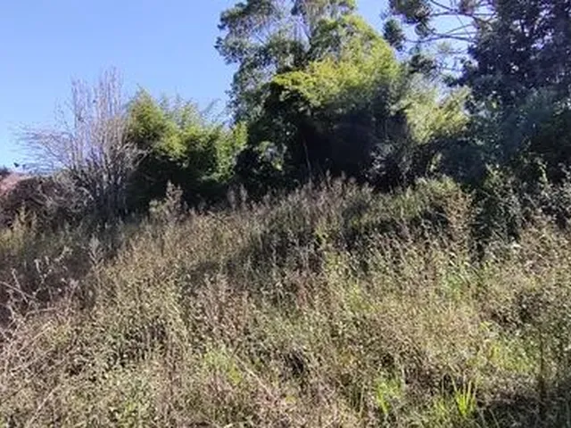 Imagem 4: Chácara de 11.000M² na Região de Marmelópolis- Sul de Minas Gerais