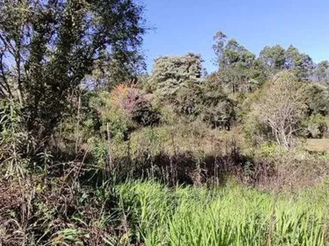 Imagem 12: Chácara de 11.000M² na Região de Marmelópolis- Sul de Minas Gerais