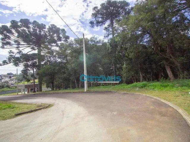 Imagem 10: Casa Nova em Condomínio Fechado