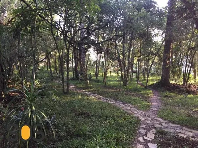 Imagem 2: Sabrado com 4 Dormitórios para Alugar, 130 M² por R$ 2.500,00 Mês - Abranches