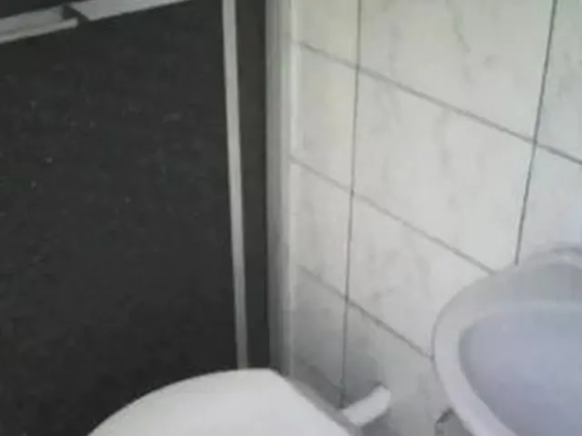 Imagem 7: Casa com 2 Quartos- Pinheirinho