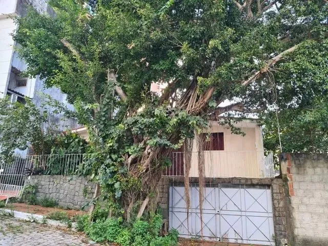 Imagem: Casa com 3 Dormitórios para Alugar, 300