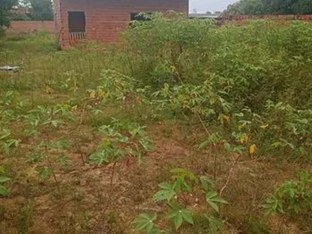 Imagem: O terreno possui 130m² de Área e está localizado em
