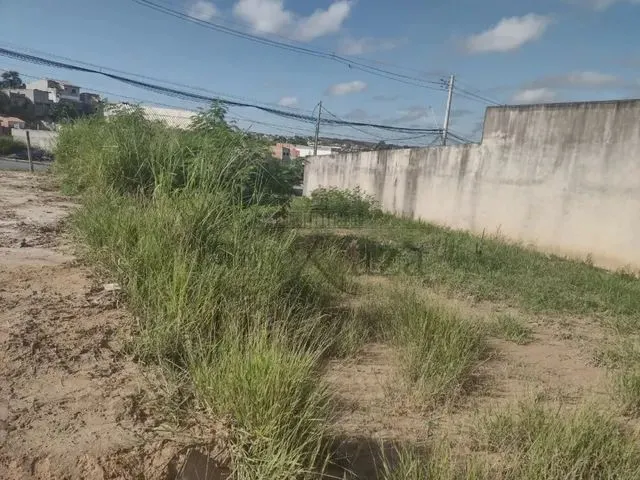 Imagem: Jacarei - Terreno Padrao - Jardim do Marques