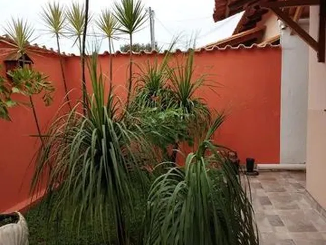 Imagem 16: Casa com Piscina Cidade Florestal