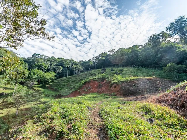 Imagem 12: Sítio com 3 Quartos, 80M², À Venda em Santo Amaro da Imperatriz, Santo Amaro Da