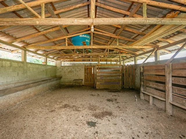 Imagem 16: Sítio com 3 Quartos, 80M², À Venda em Santo Amaro da Imperatriz, Santo Amaro Da