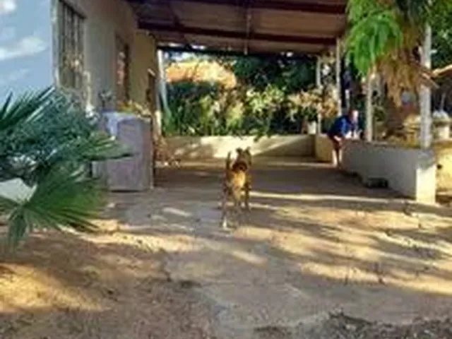 Imagem 6: Vende-Se Chácara na Fazenda Velha