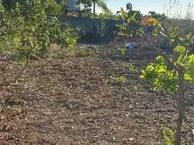 Imagem 5: Vende-Se Chácara na Fazenda Velha