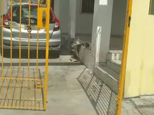 Imagem: Casa em Salinas - Temporada