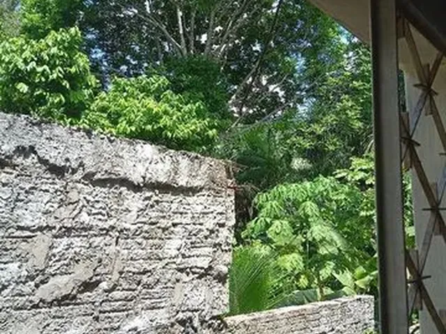 Imagem 8: Casa com Dois Quartos na Redenção