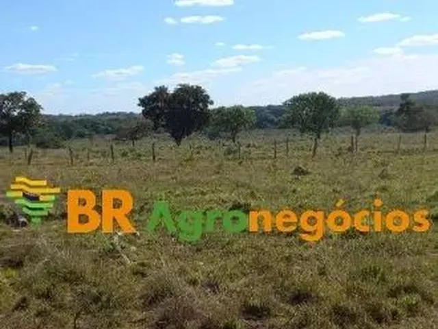Imagem: Oportunidade Fazenda de 38 Alqueires