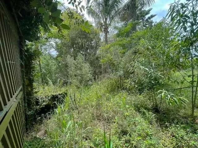 Imagem 6: Terreno 1.563,48M² Vila Santo Antônio - Cotia - Sp