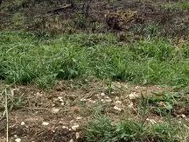 Imagem 6: Chácara de 5.000 M2