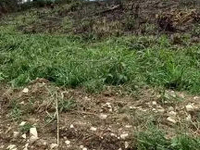 Imagem 4: Chácara de 5.000 M2