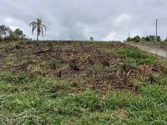 Imagem 9: Chácara de 5.000 M2