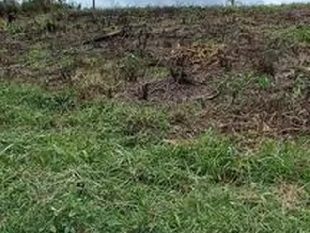 Imagem 11: Chácara de 5.000 M2