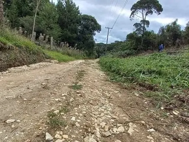 Imagem 8: Chácara de 5.000 M2