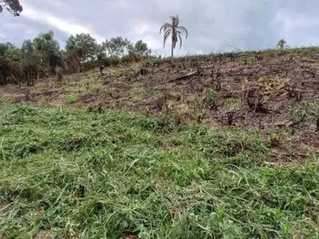 Imagem 14: Chácara de 5.000 M2