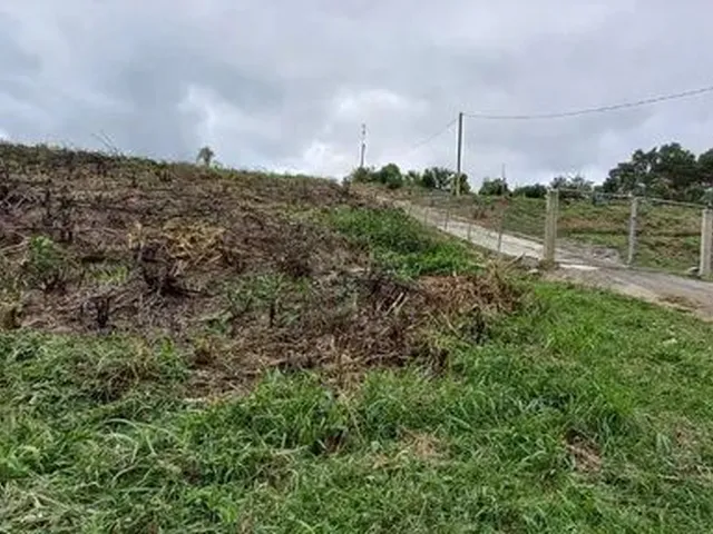 Imagem 2: Chácara de 5.000 M2