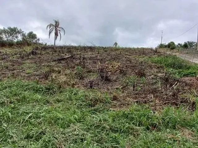 Imagem 7: Chácara de 5.000 M2