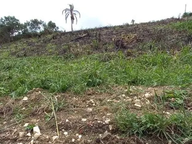 Imagem 3: Chácara de 5.000 M2