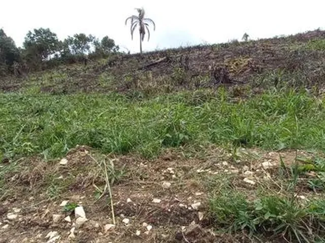 Imagem 13: Chácara de 5.000 M2