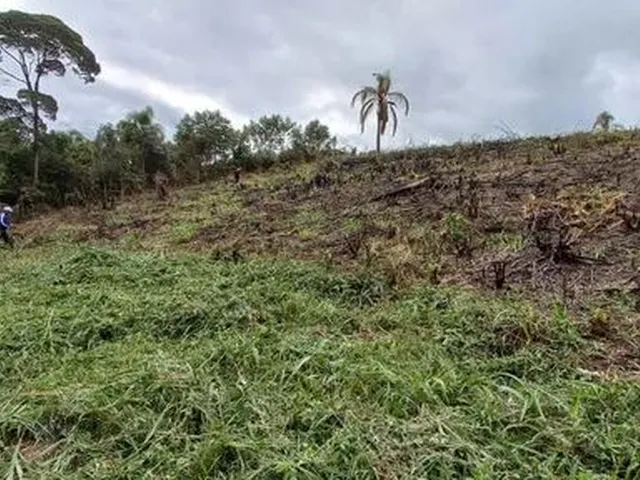 Imagem 10: Chácara de 5.000 M2