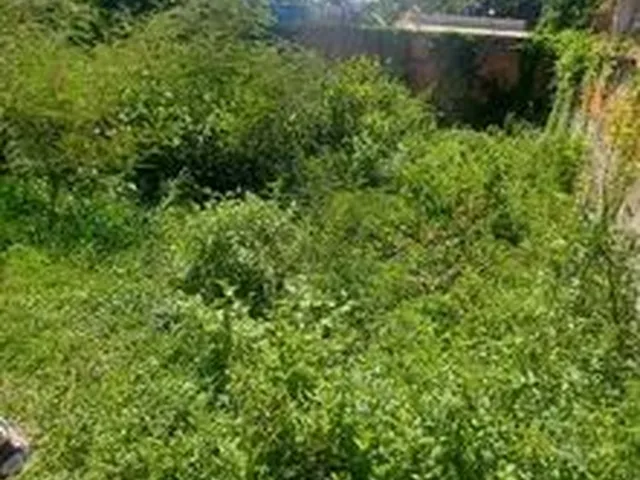 Imagem 1: Terreno Próximo Ao Geneciano