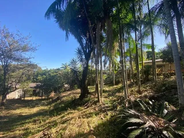 Imagem: Chácara À Venda em Apucarana (Próximo