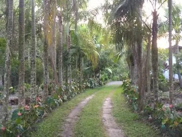 Imagem: Chacara en São Francisco do Sul