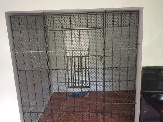 Imagem 12: Aluguel de Casa em Nova Esperança