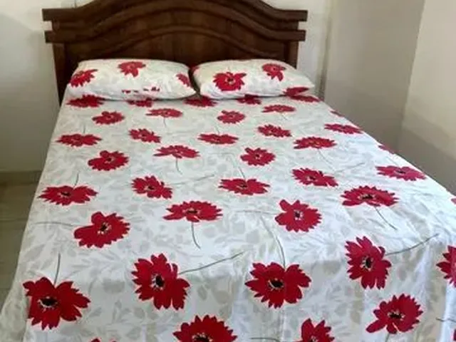 Imagem 5: Apartamento Mobiliado no Centro de Bh. 1 Quarto