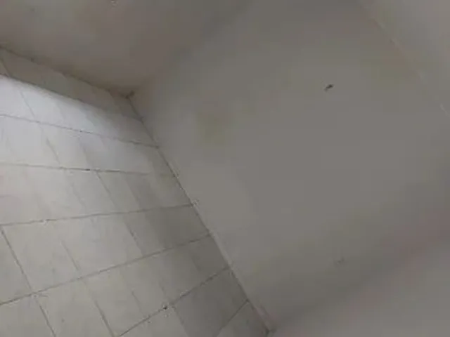 Imagem 4: Aluga Se Casa Alvorada Próximo Supermercado Gaviao e Ataíde Teive
