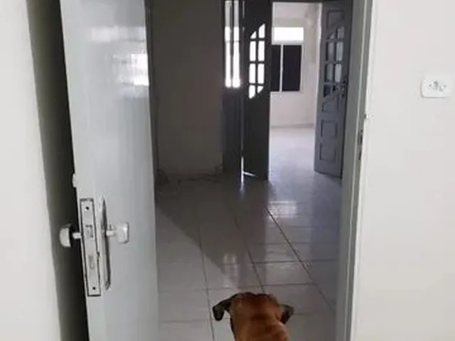 Imagem 7: Aluga-Se Casa com 5 dormitórios