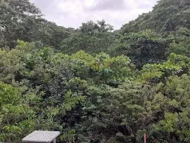 Imagem 11: Casa com 3 Dormitórios para Alugar, 100 M² - Liberdade - Rio das Ostras/Rj