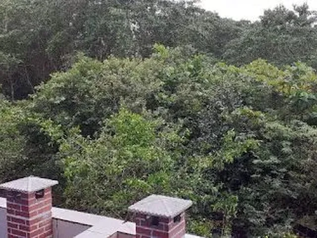 Imagem 8: Casa com 3 Dormitórios para Alugar, 100 M² - Liberdade - Rio das Ostras/Rj