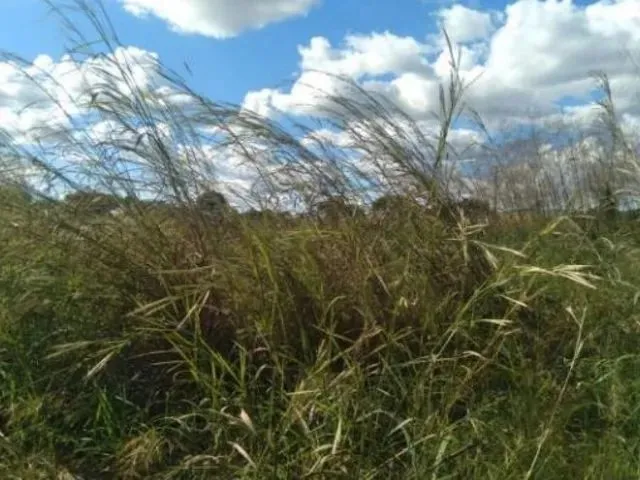 Imagem: Terreno - Redenção-Pa - Av. Tropical