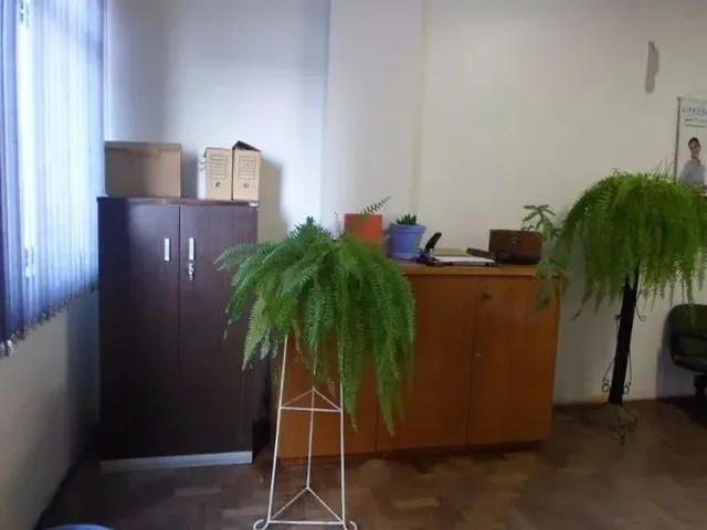 Imagem 2: Conjunto/Sala em Centro Histórico