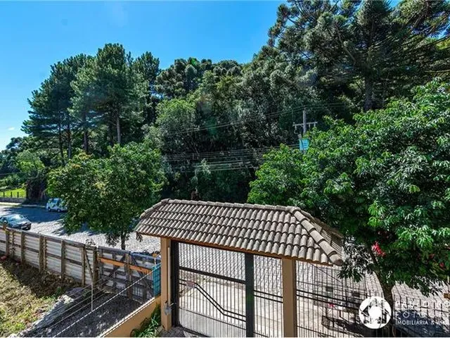Imagem 6: Apartamento 3 Quartos (1 Suíte) Semi Mobiliado Em