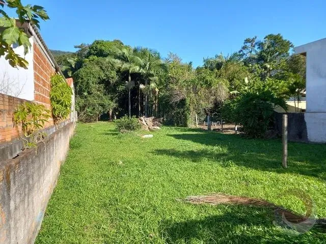 Imagem: Florianópolis - Terreno Padrão - Ribeirão