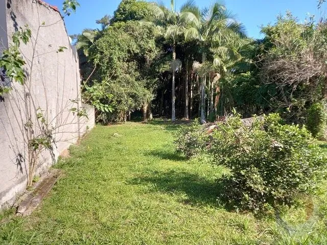 Imagem 8: Florianópolis - Terreno Padrão - Ribeirão da Ilha